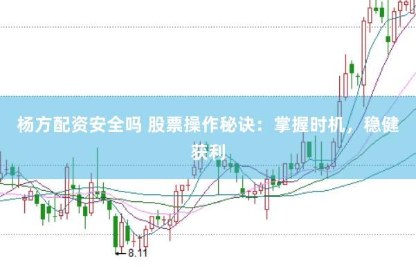 杨方配资安全吗 股票操作秘诀：掌握时机，稳健获利