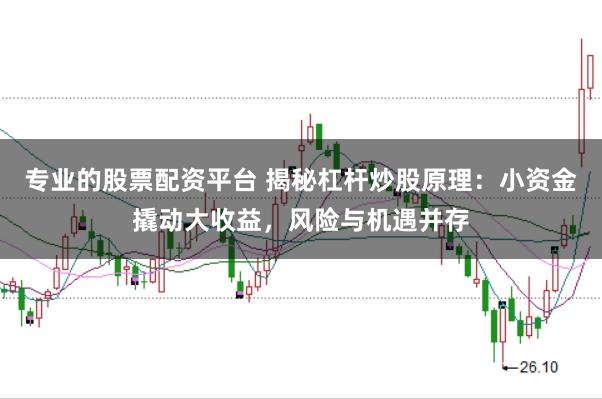 专业的股票配资平台 揭秘杠杆炒股原理：小资金撬动大收益，风险与机遇并存