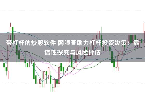 带杠杆的炒股软件 网眼查助力杠杆投资决策：靠谱性探究与风险评估