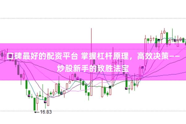 口碑最好的配资平台 掌握杠杆原理，高效决策——炒股新手的致胜法宝