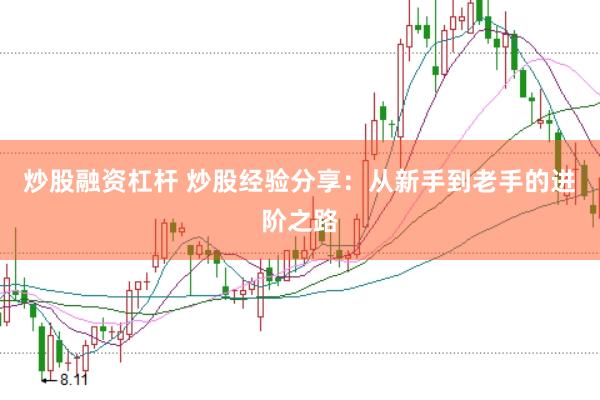 炒股融资杠杆 炒股经验分享：从新手到老手的进阶之路