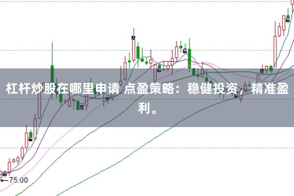 杠杆炒股在哪里申请 点盈策略：稳健投资，精准盈利。