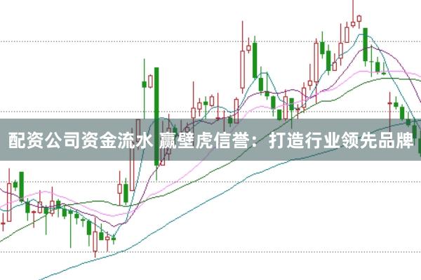 配资公司资金流水 赢壁虎信誉：打造行业领先品牌