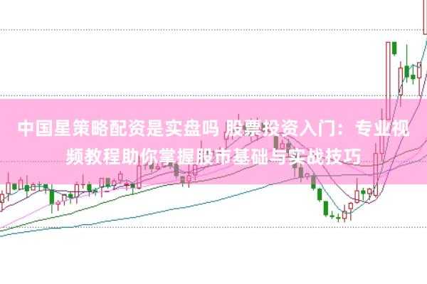 中国星策略配资是实盘吗 股票投资入门：专业视频教程助你掌握股市基础与实战技巧