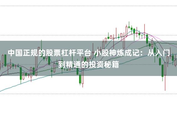 中国正规的股票杠杆平台 小股神炼成记：从入门到精通的投资秘籍