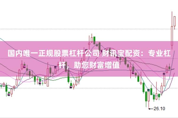 国内唯一正规股票杠杆公司 财讯宝配资：专业杠杆，助您财富增值
