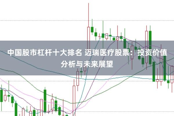 中国股市杠杆十大排名 迈瑞医疗股票：投资价值分析与未来展望