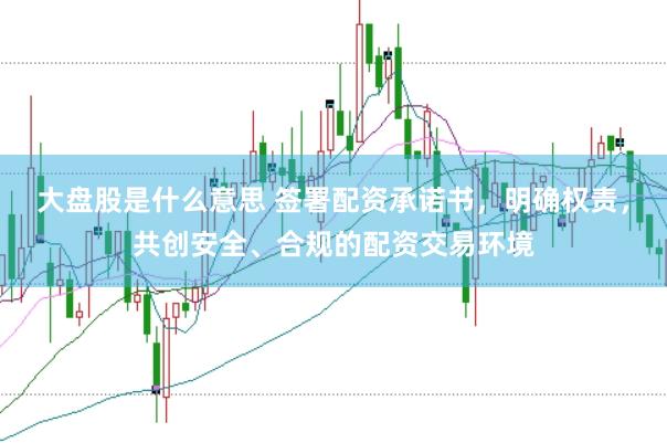 大盘股是什么意思 签署配资承诺书，明确权责，共创安全、合规的配资交易环境
