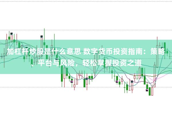 加杠杆炒股是什么意思 数字货币投资指南：策略、平台与风险，轻松掌握投资之道