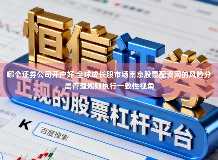 哪个证券公司开户好 全球成长股市场南京股票配资网的风险分层管理规则执行一致性视角