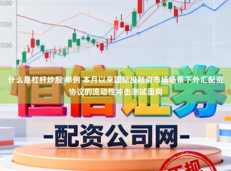 什么是杠杆炒股 举例 本月以来国际投融资市场场景下外汇配资协议的流动性冲击测试面向